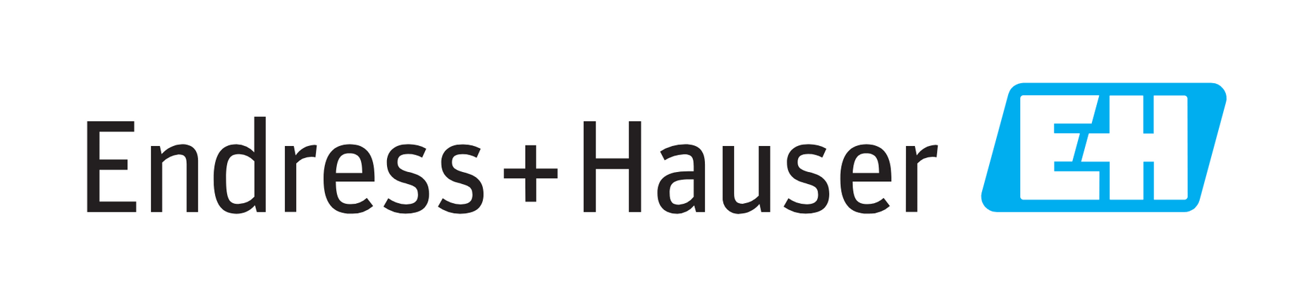 Endress+Hauser
